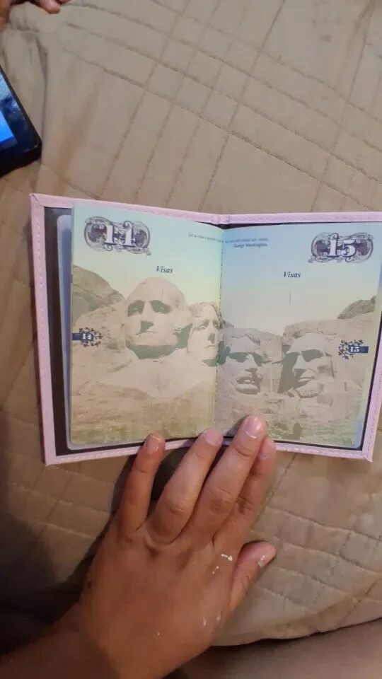 Rodusuite Slim World Map Passport Wallet photo review